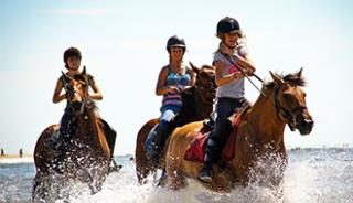 Une balade à cheval à Saintes Maries de la Mer