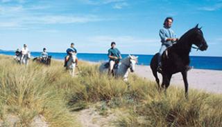 Une balade à cheval