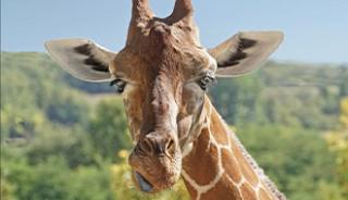 Une journée au zoo des Sables-d’Olonne