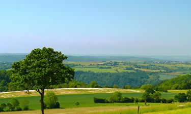 suisse normande